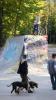 Skatepark