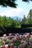 Vancouver-