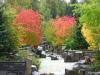 Whistler-Village