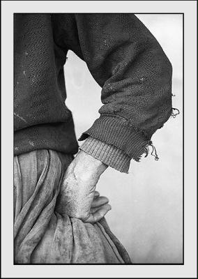 Life by Alexandru Averche Life by Alexandru Averche