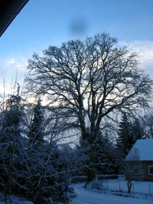 Allerheiligen-2010