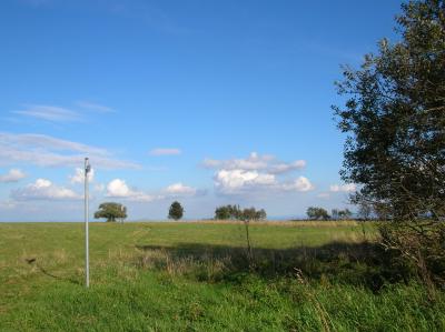DSCN4613