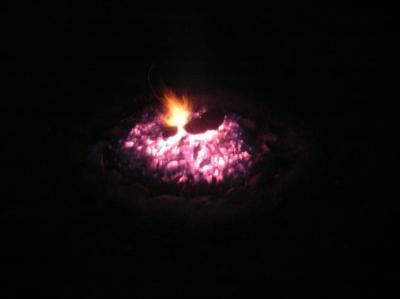 DSCN4659