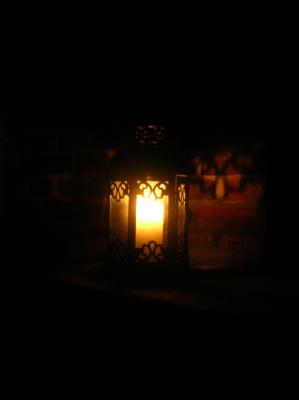 DSCN4706