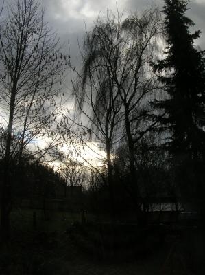 DSCN4710