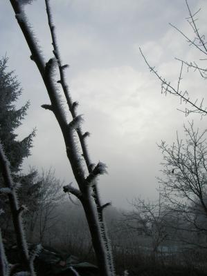DSCN4741