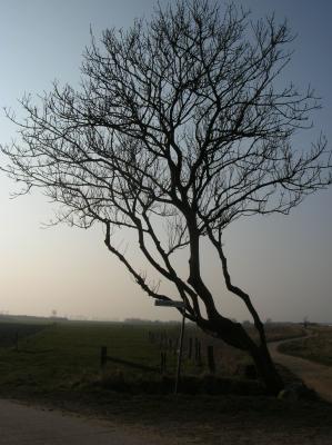 DSCN4795