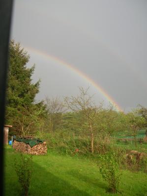 DSCN4834