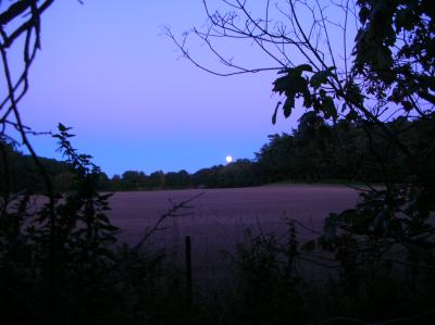 DSCN5014