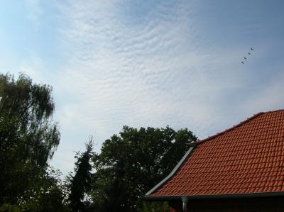 HTuNG-2010-004