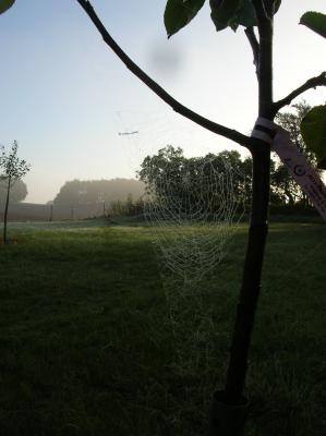 HTuNG-2011-013