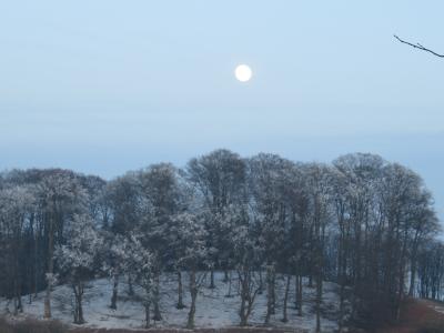 IMG_0105
