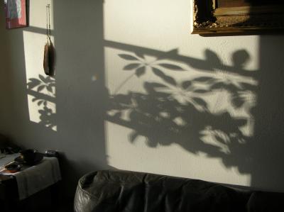 Lichtmess-2012-039