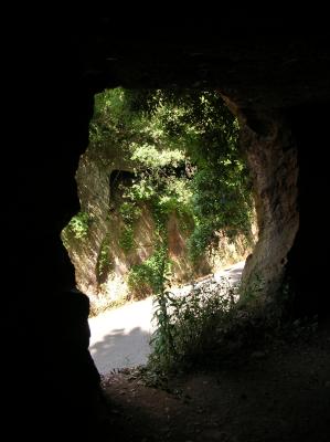 Litha-2010-064