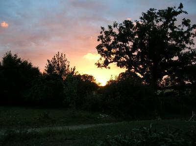 Litha-2010-076
