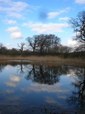 Ostara-2011-013