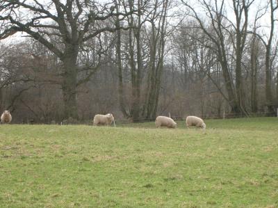 Ostara-2011-041
