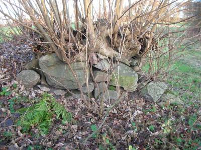 WSW-2012-007