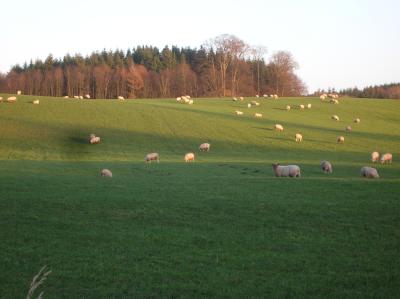 WSW-2012-019