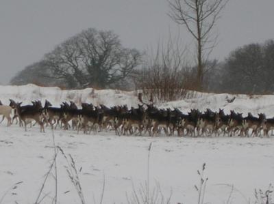 Winter-2009-2010-020