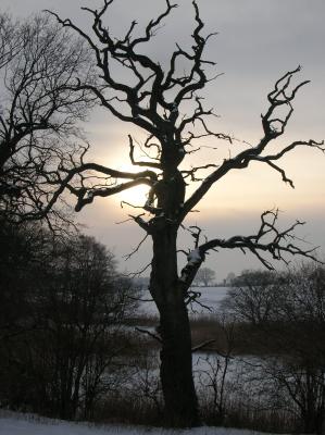 Winter-2009-2010-0411