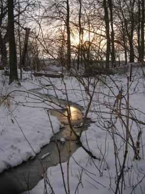 Winter-2009-2010-042