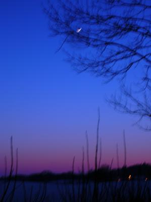 Winter-2009-2010-058