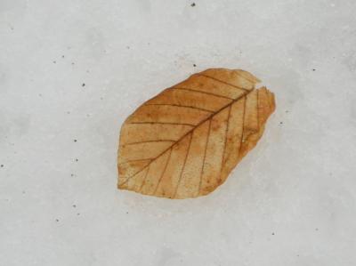 Winter-2009-2010-059