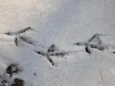 Winter-2009-2010-071