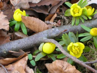 Winter-2009-2010-077