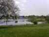 Blick auf den Holtsee im Frühling