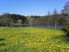 Die Seewiese am Holtsee im Mai 2006