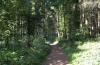 Ein Waldweg im wunderschönen Holtseer Wald, wo Sie am Rande des Holtsee die Natur genießen können...