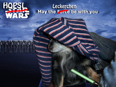 Hopsi Wars, brand new Movie with our well-known superdog