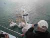 Walvis-Bay