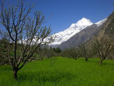 tibet-fluechtlingslager