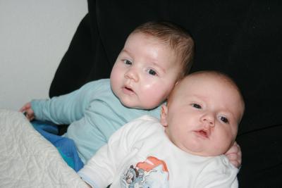 Bild1-045