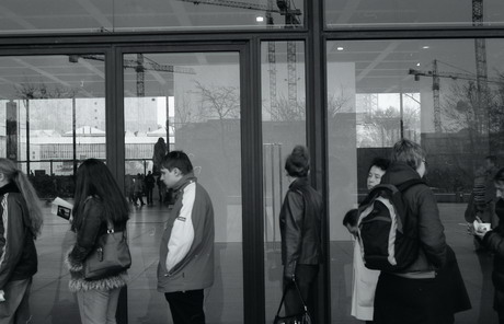 es ist was es ist sagt die schlange. muh sagt der elefant.