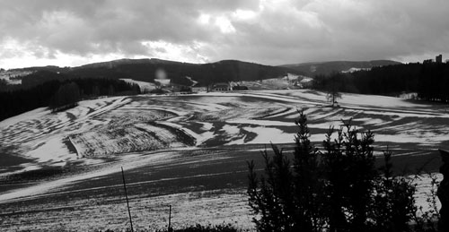 winter