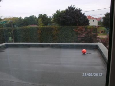 Ball-auf-Dach-Schwartzstrasse