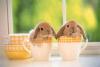 Frohe-20Ostern-pdf-zinfo