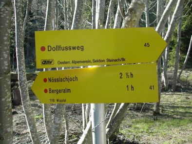dolli