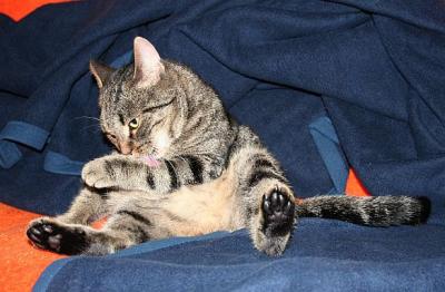 IMG_4583mini
