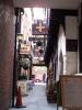 Backlane-in-Shrewsbury