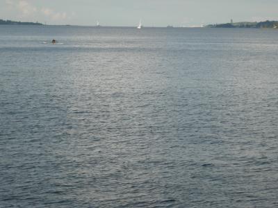 DSCN0170