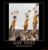 Gay-test-6-jpeg