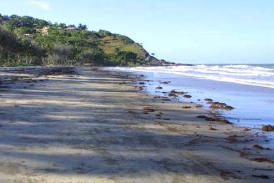 2-3053_Four_Mile_Beach