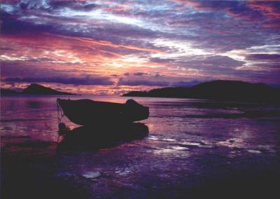 Dingo-Beach