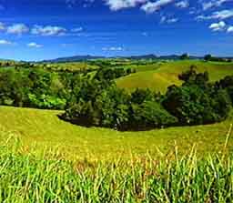 atherton-20tablelands-2001