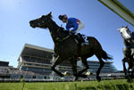 melbourne-cup